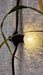 Valoketju Timantti LED-Valoketju-Chic Antique-Lahja ja sisustus Pussukka